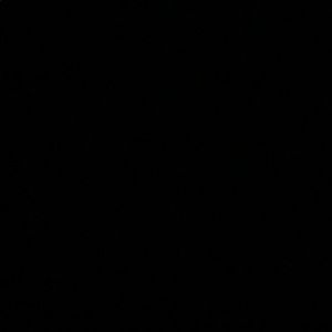 Meet your Posher, Sabrin